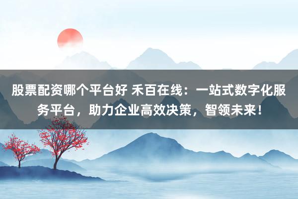 股票配资哪个平台好 禾百在线：一站式数字化服务平台，助力企业高效决策，智领未来！