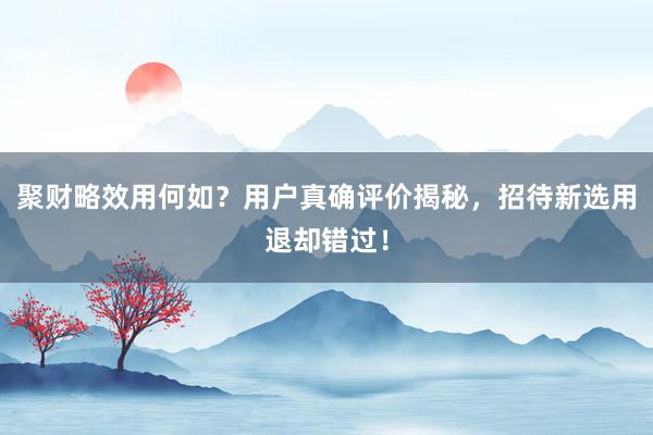 聚财略效用何如？用户真确评价揭秘，招待新选用退却错过！