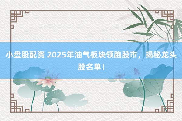 小盘股配资 2025年油气板块领跑股市，揭秘龙头股名单！