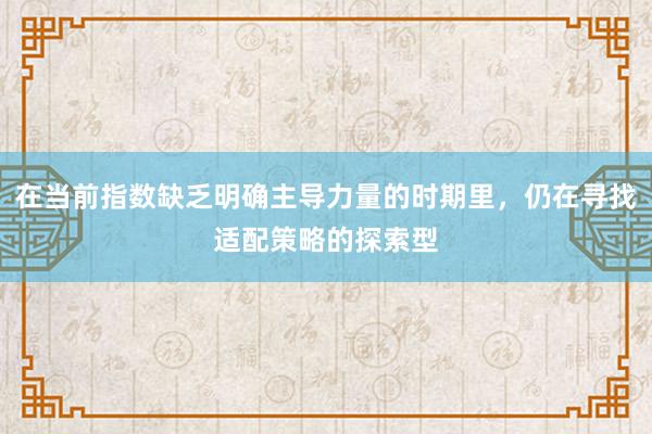 在当前指数缺乏明确主导力量的时期里，仍在寻找适配策略的探索型