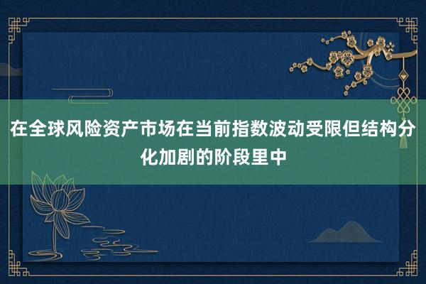 在全球风险资产市场在当前指数波动受限但结构分化加剧的阶段里中