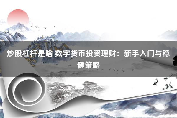 炒股杠杆是啥 数字货币投资理财：新手入门与稳健策略