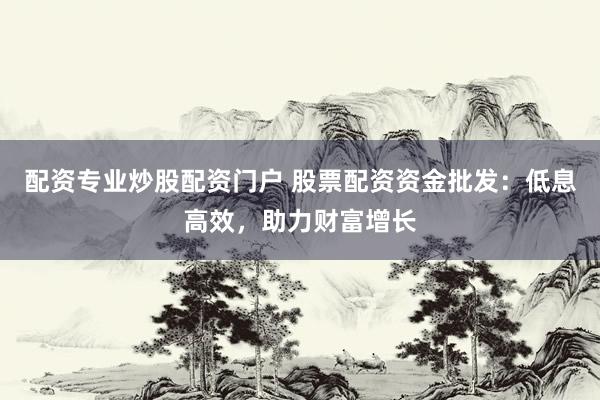 配资专业炒股配资门户 股票配资资金批发:低息高效,助力财富增长